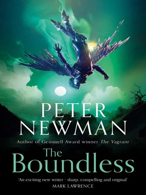 cover image of The Boundless